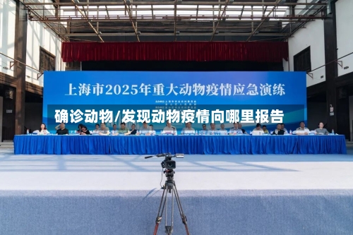 确诊动物/发现动物疫情向哪里报告