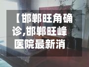 【邯郸旺角确诊,邯郸旺峰医院最新消息今天】-第2张图片