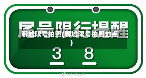聊城限号拍照(聊城限号拍照地点)-第2张图片