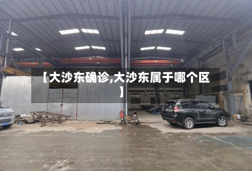 【大沙东确诊,大沙东属于哪个区】-第3张图片