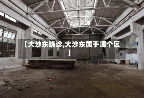 【大沙东确诊,大沙东属于哪个区】