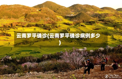 云南罗平确诊(云南罗平确诊病例多少)-第2张图片