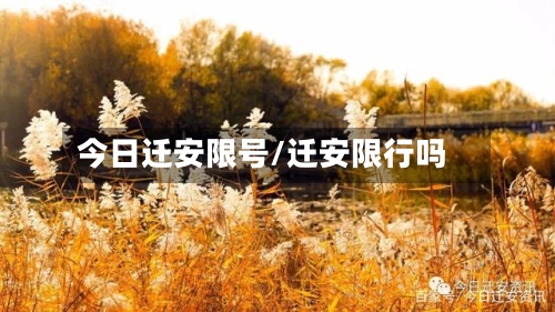 今日迁安限号/迁安限行吗-第3张图片