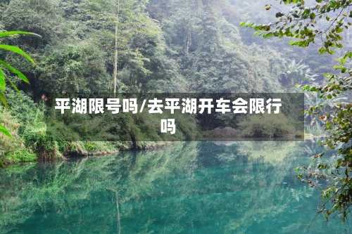 平湖限号吗/去平湖开车会限行吗-第2张图片