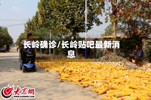 长岭确诊/长岭贴吧最新消息