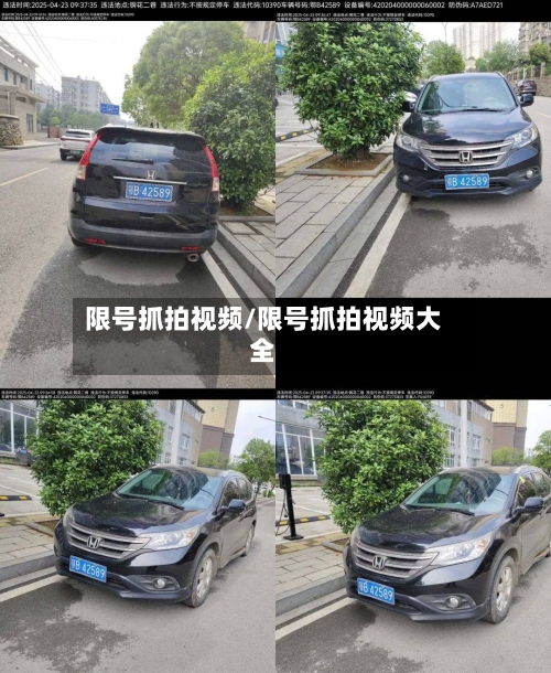 限号抓拍视频/限号抓拍视频大全