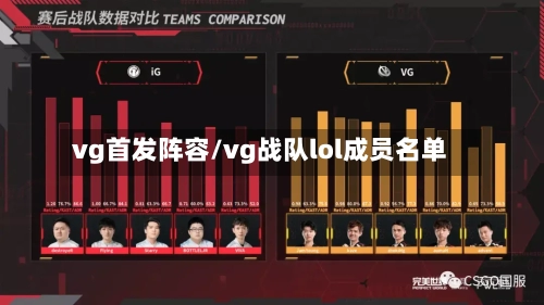 vg首发阵容/vg战队lol成员名单-第2张图片