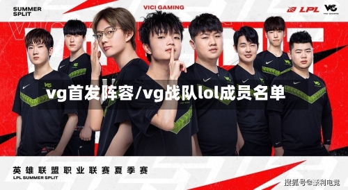 vg首发阵容/vg战队lol成员名单