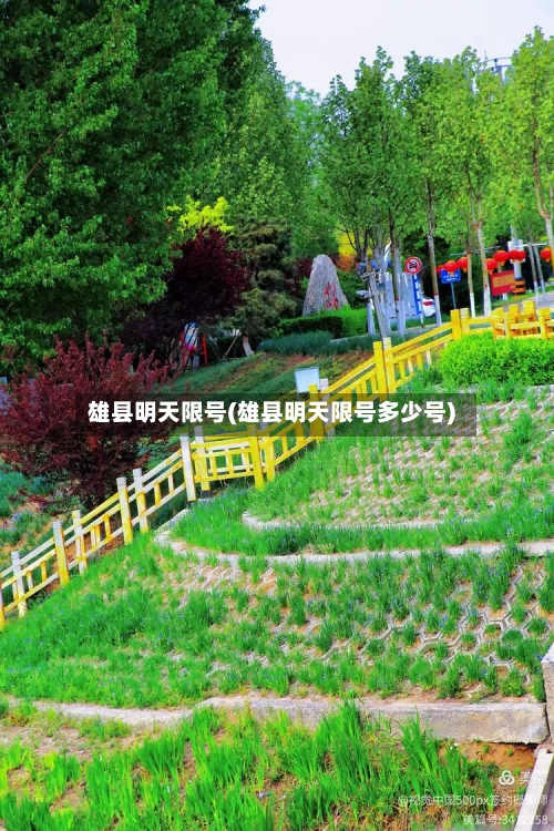雄县明天限号(雄县明天限号多少号)-第3张图片