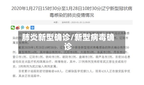 肺炎新型确诊/新型病毒确诊