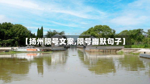 【扬州限号文案,限号幽默句子】-第2张图片