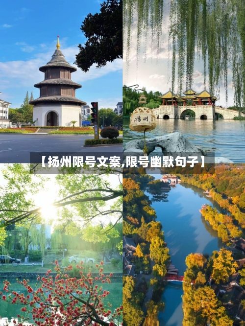 【扬州限号文案,限号幽默句子】-第3张图片