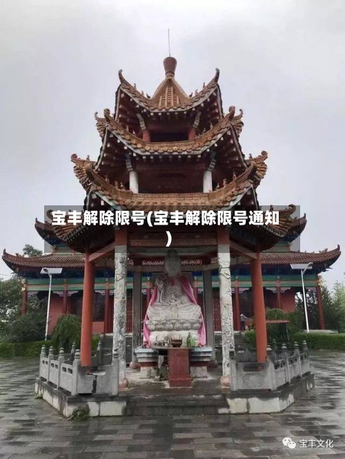 宝丰解除限号(宝丰解除限号通知)