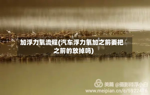 加浮力氧流程(汽车浮力氧加之前要把之前的放掉吗)-第2张图片