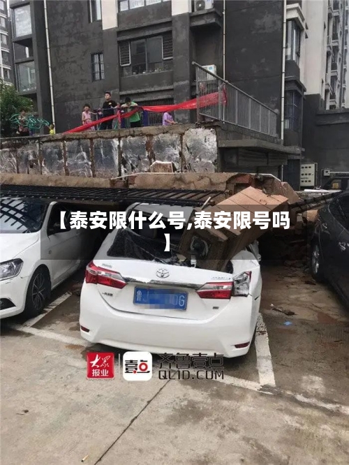 【泰安限什么号,泰安限号吗】-第2张图片