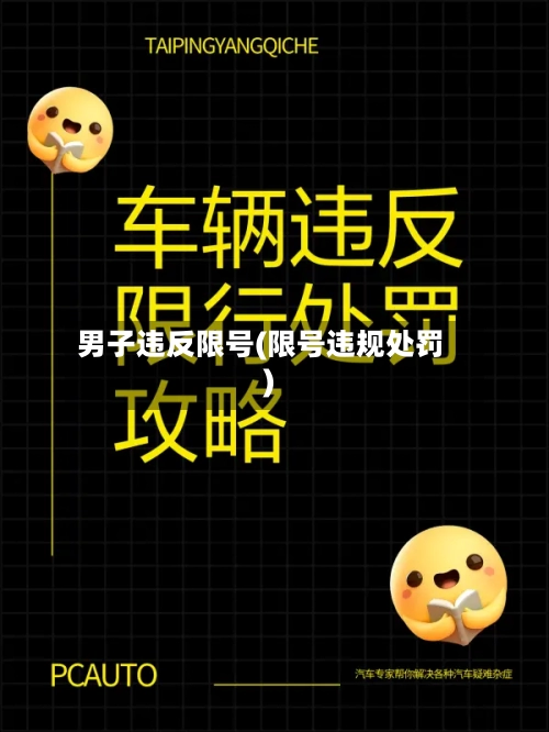 男子违反限号(限号违规处罚)-第3张图片