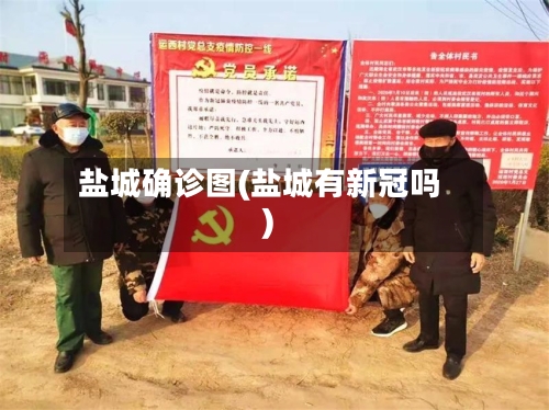 盐城确诊图(盐城有新冠吗)-第2张图片