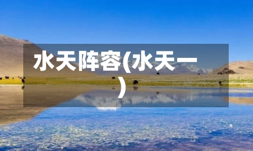 水天阵容(水天一)
