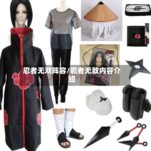 忍者无双阵容/忍者无敌内容介绍