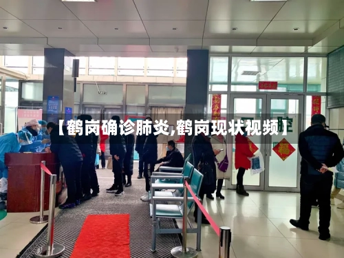 【鹤岗确诊肺炎,鹤岗现状视频】