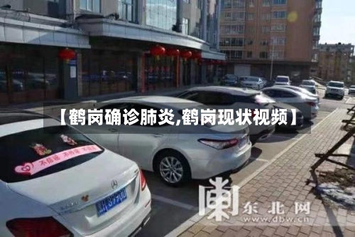 【鹤岗确诊肺炎,鹤岗现状视频】-第3张图片