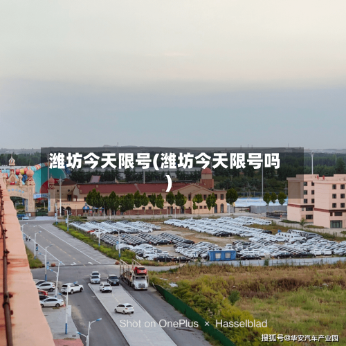 潍坊今天限号(潍坊今天限号吗)-第3张图片