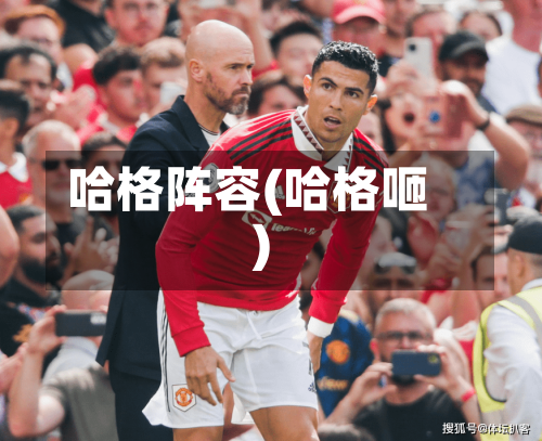 哈格阵容(哈格咂)