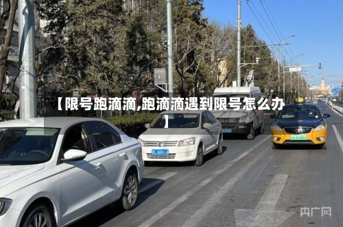 【限号跑滴滴,跑滴滴遇到限号怎么办】-第3张图片