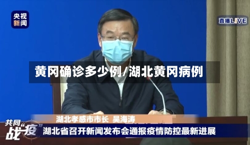 黄冈确诊多少例/湖北黄冈病例-第2张图片