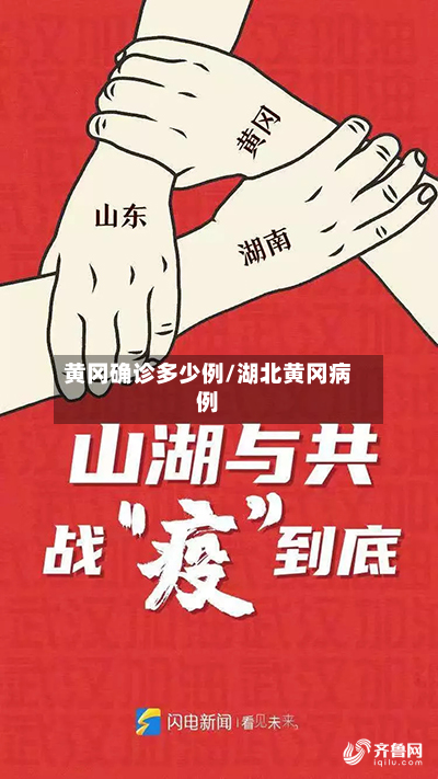 黄冈确诊多少例/湖北黄冈病例-第3张图片