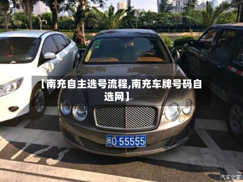 【南充自主选号流程,南充车牌号码自选网】