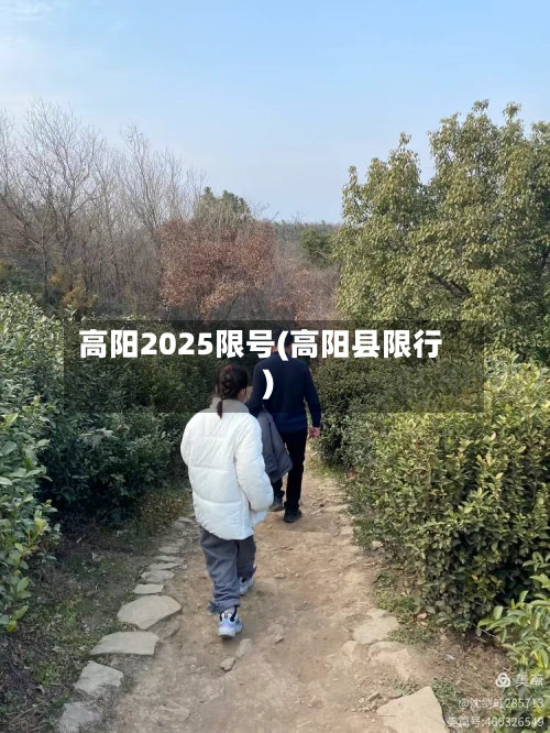 高阳2025限号(高阳县限行)-第2张图片
