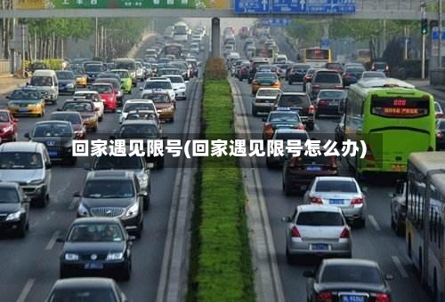 回家遇见限号(回家遇见限号怎么办)-第2张图片