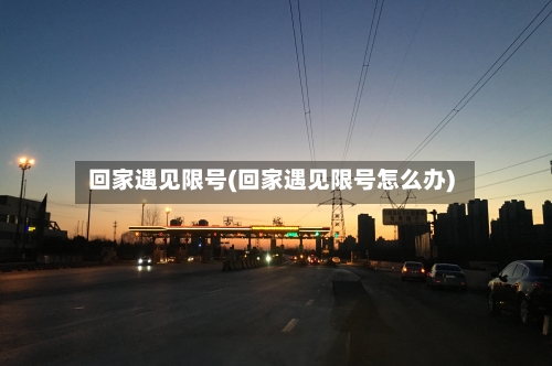 回家遇见限号(回家遇见限号怎么办)