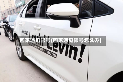回家遇见限号(回家遇见限号怎么办)-第3张图片