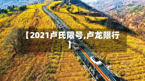 【2021卢氏限号,卢龙限行】