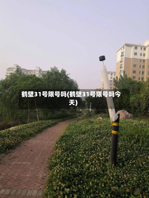 鹤壁31号限号吗(鹤壁31号限号吗今天)-第2张图片