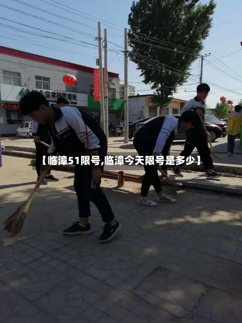 【临漳51限号,临漳今天限号是多少】-第2张图片