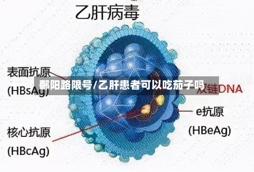 鄱阳路限号/乙肝患者可以吃茄子吗-第2张图片
