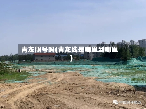青龙限号吗(青龙线是哪里到哪里)-第2张图片