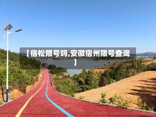 【宿松限号吗,安徽宿州限号查询】