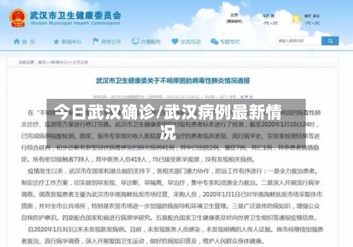 今日武汉确诊/武汉病例最新情况-第2张图片
