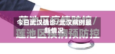 今日武汉确诊/武汉病例最新情况-第3张图片