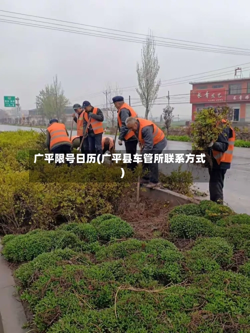 广平限号日历(广平县车管所联系方式)