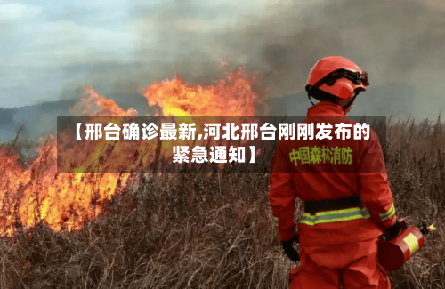 【邢台确诊最新,河北邢台刚刚发布的紧急通知】