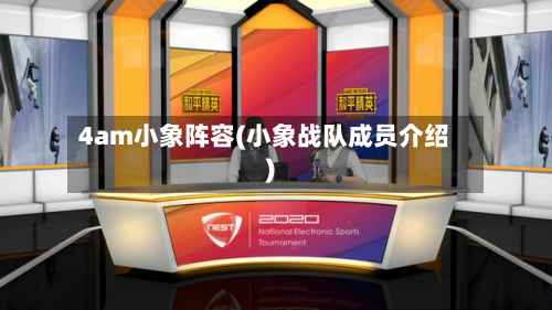 4am小象阵容(小象战队成员介绍)