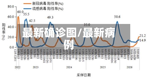 最新确诊图/最新病例-第2张图片