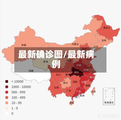 最新确诊图/最新病例