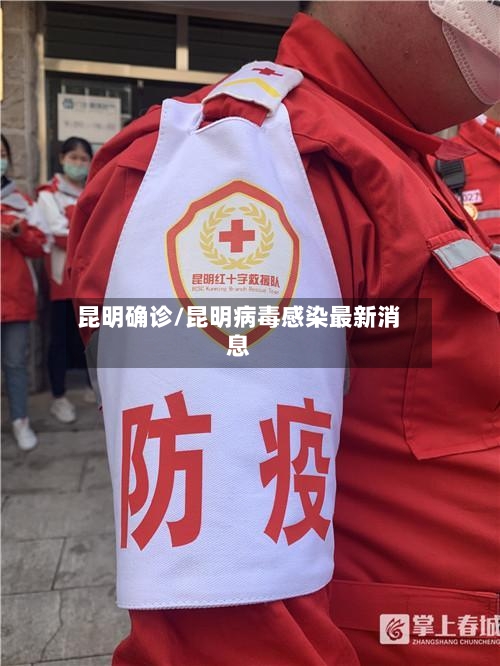 昆明确诊/昆明病毒感染最新消息-第2张图片