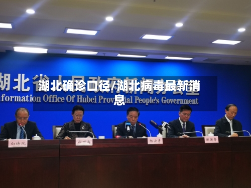 湖北确诊口径/湖北病毒最新消息